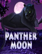 jolly roger slotmafia345 เข้า สู่ ระบบ และเคล็ดลับการเล่น