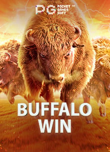 สมัคร เว็บ บอล แถม เสื้อ รับรองว่าคุ้ม ฟังทางนี้เลย!